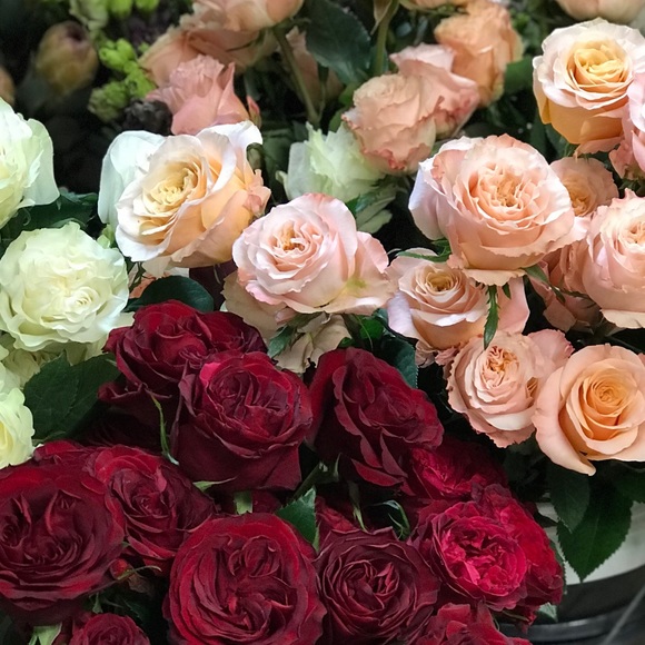 Meet your Posher, Aimee - Picture 1 of 1